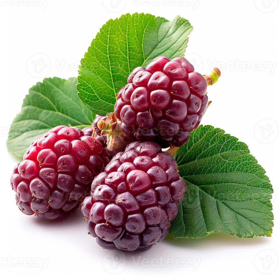 AI generated Ripe and tasty black mulberries on a white isolated background - AI generated image photo