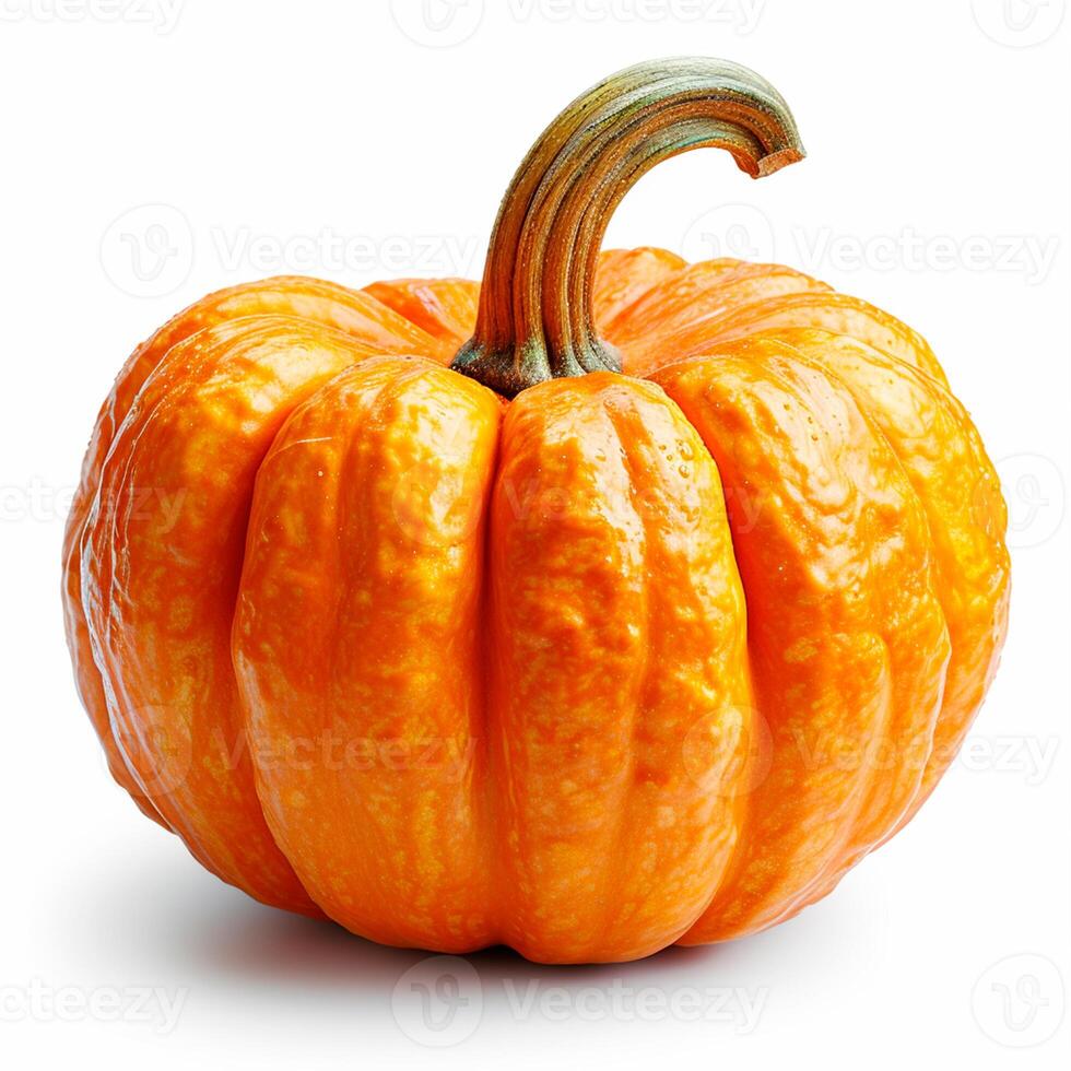 AI generated Studio shot of a beautiful decorative pumpkin on a clean white isolated background - AI generated image photo