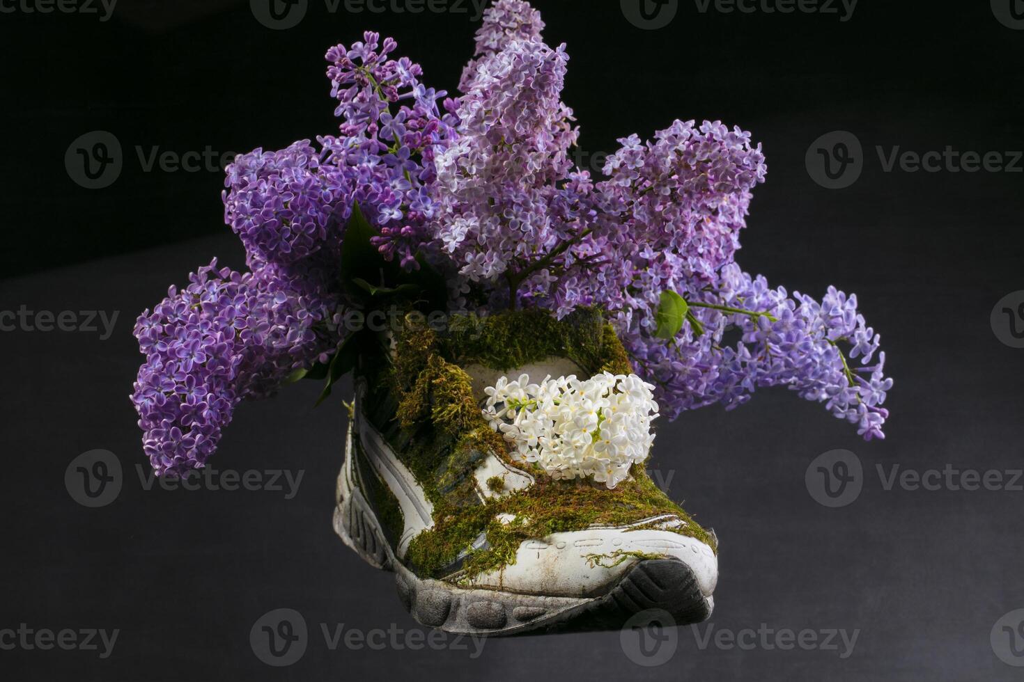 A sneaker covered with moss and blooming lavender. Shoes made from natural materials. photo