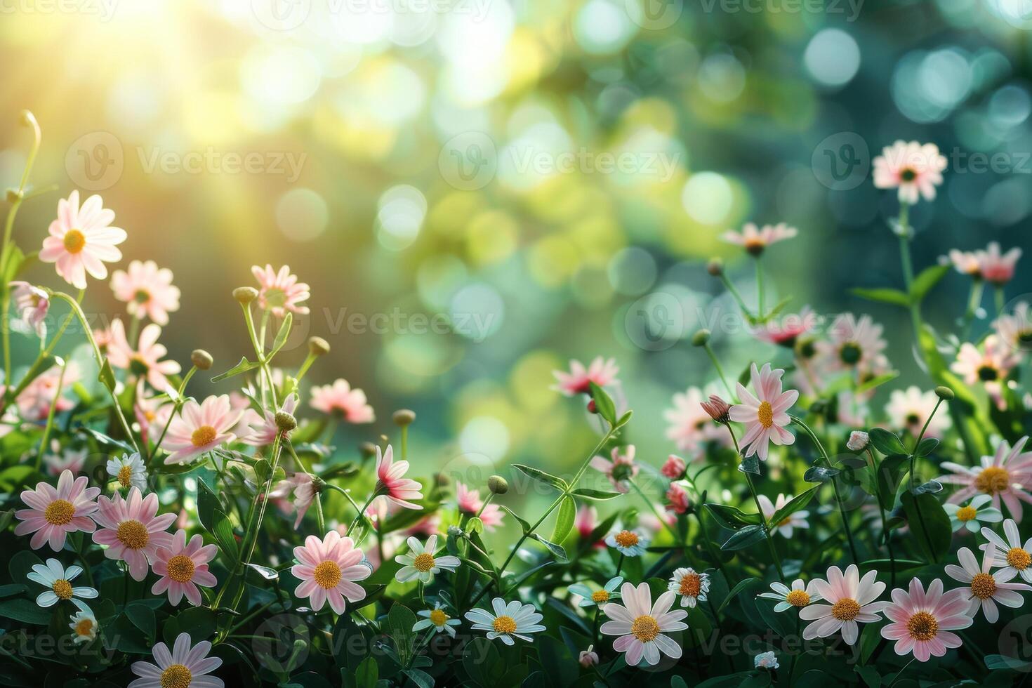 AI generated Lush floral scenes showcasing a variety of blossoms in soft, radiant light with a bokeh background photo