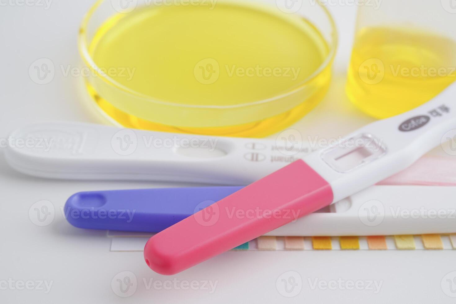 Urinalysis, pregnancy test and urine cup for female of ovulation day, fetus, maternity, childbirth, birth control. photo