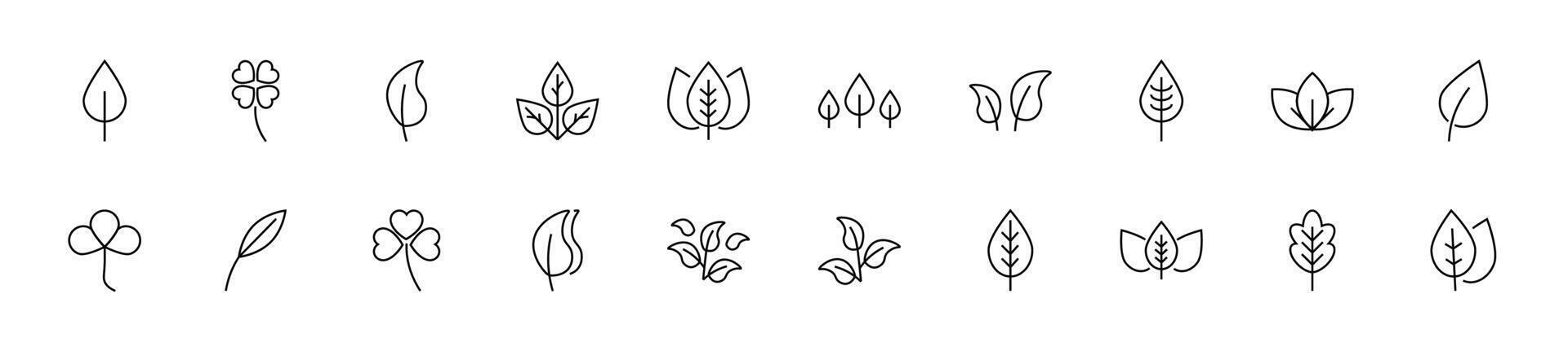 Collection of thin line icons of leaf. Linear sign and editable stroke. Suitable for web sites, books, articles vector