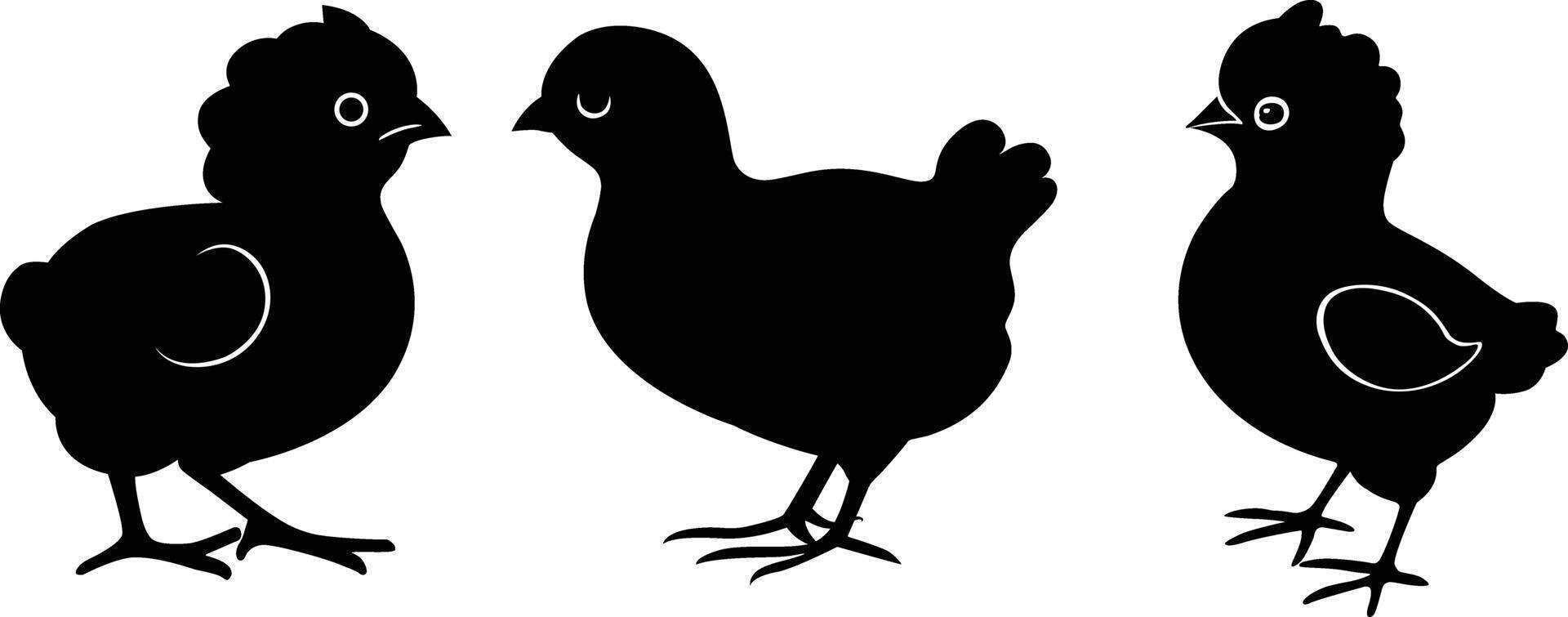 bebé pollo silueta vector