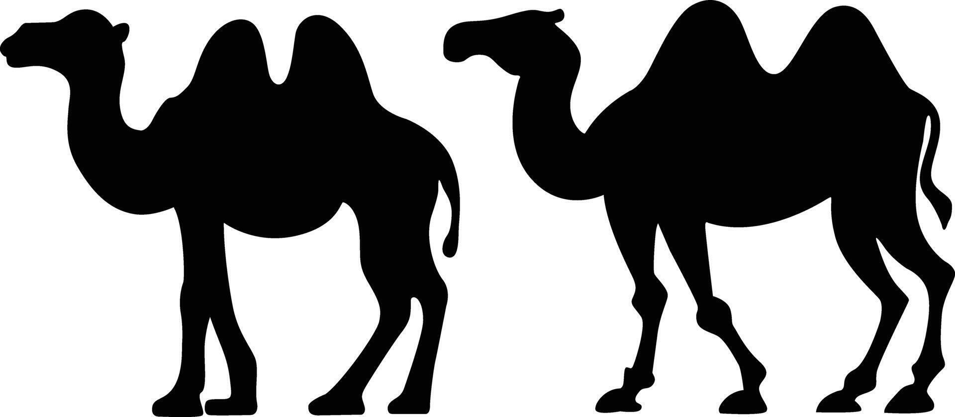 Camel Silhouette Vector Illustration