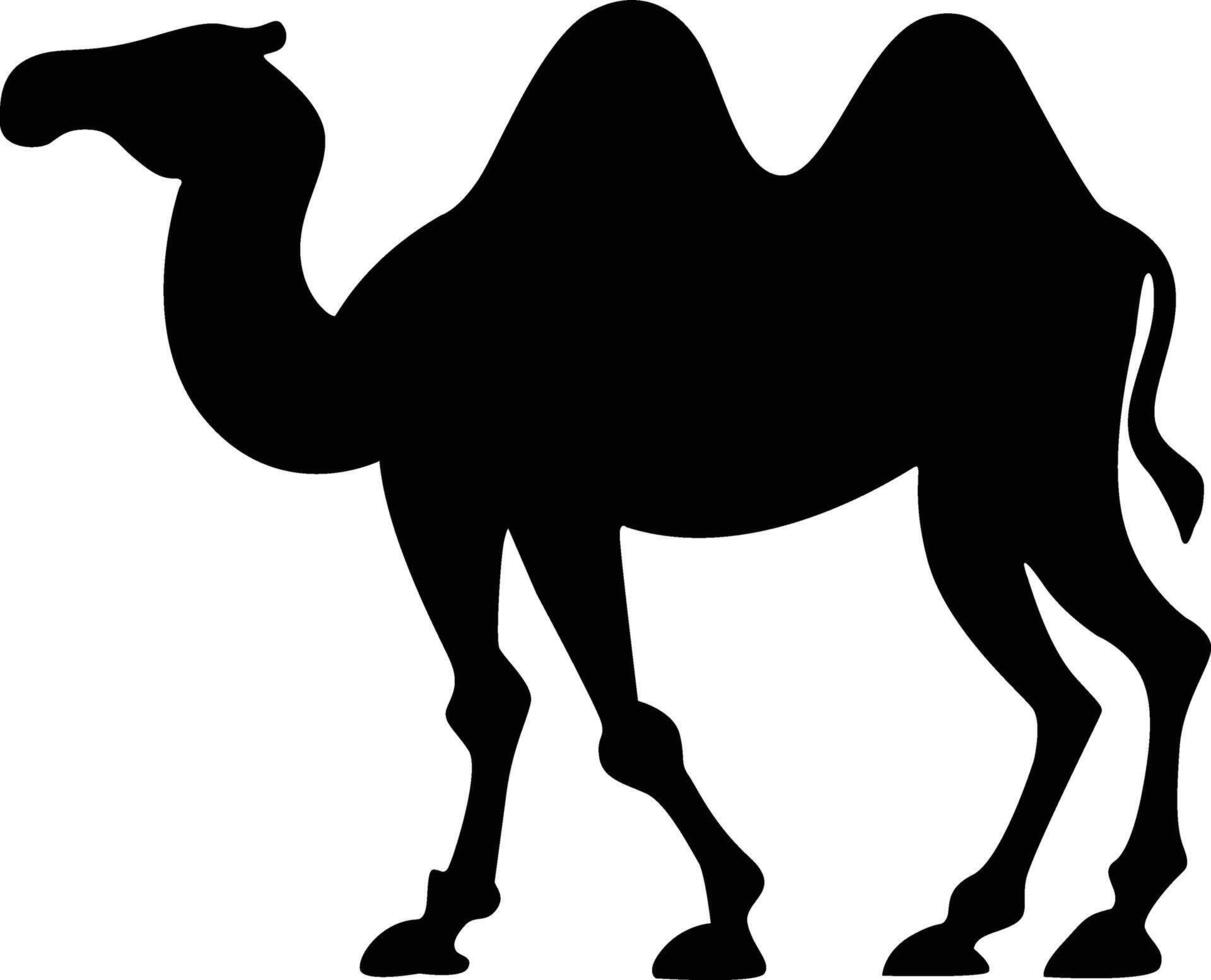Camel Silhouette Vector
