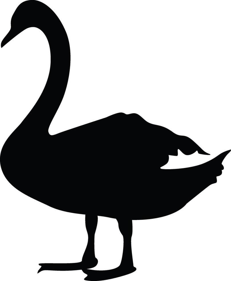 cisne silueta vector