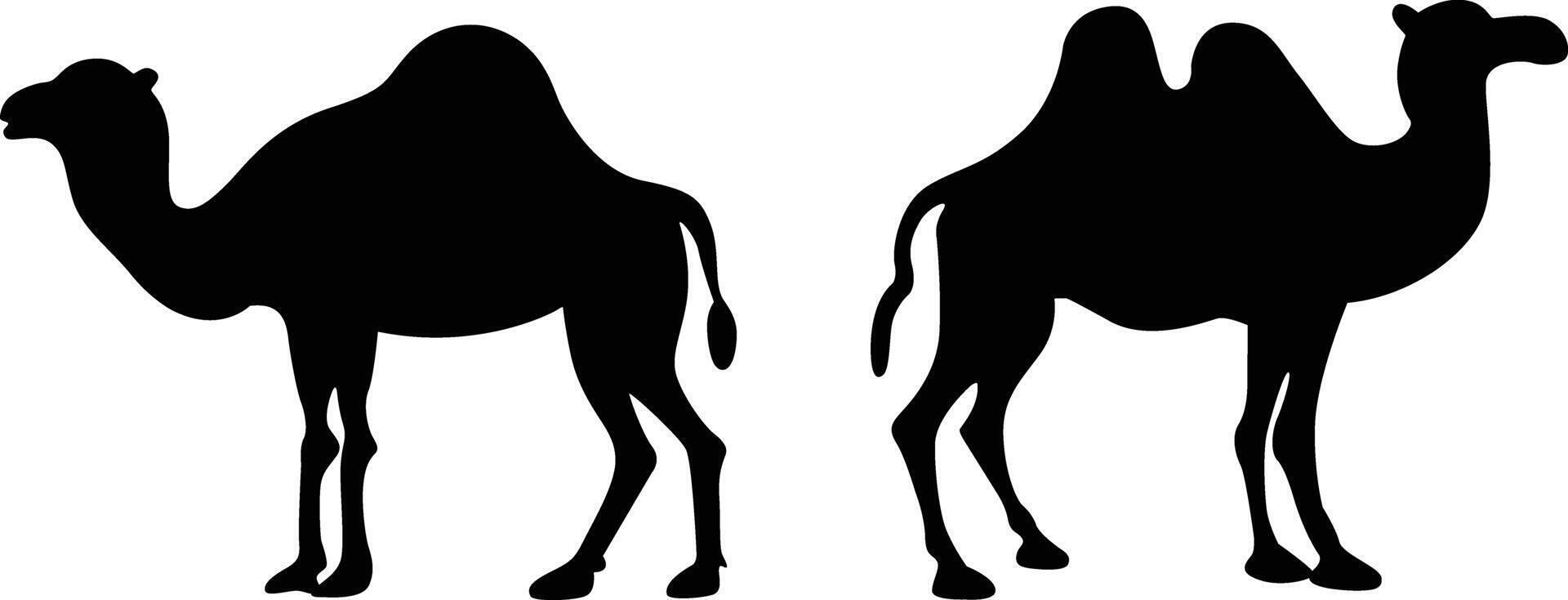 Camel Silhouette Vector