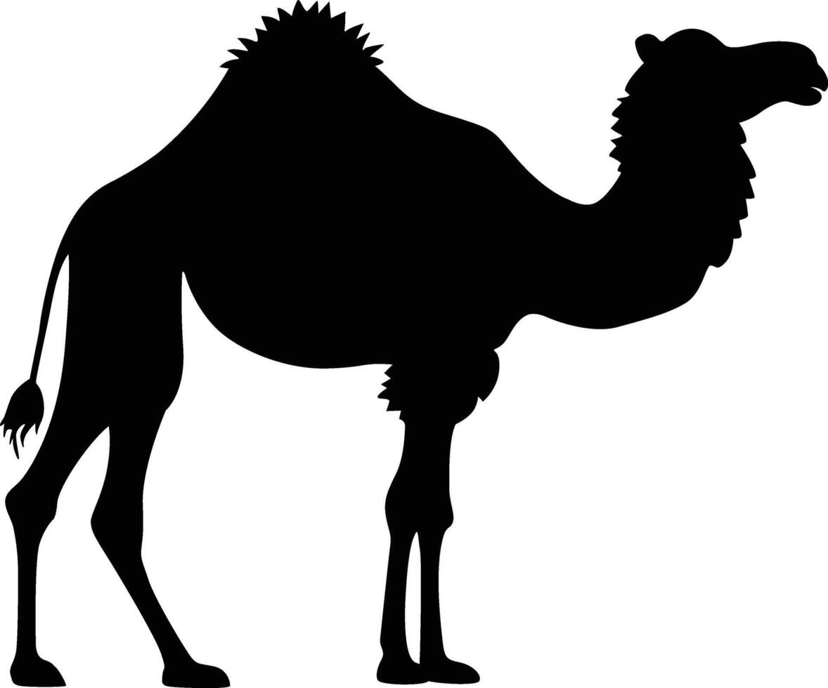 Camel Silhouette Vector