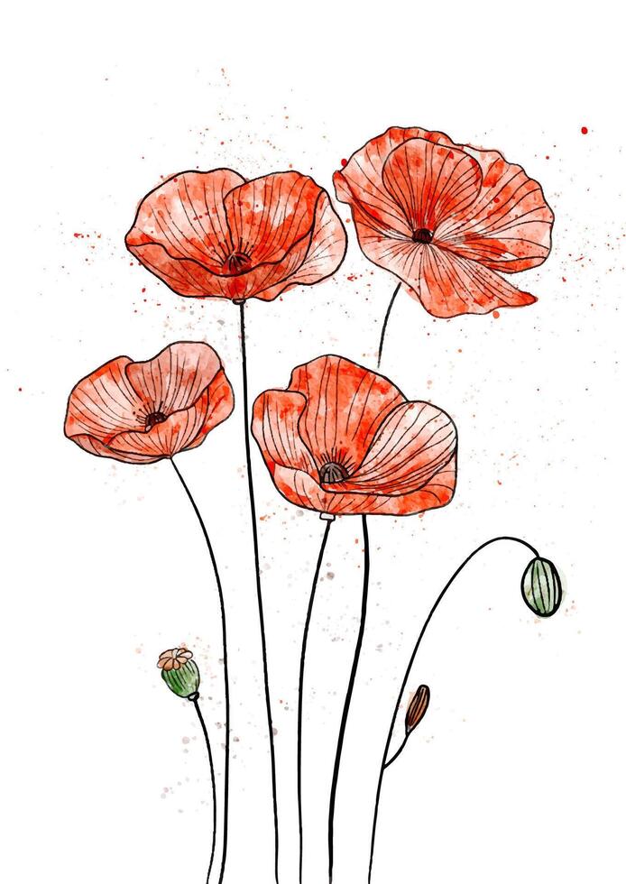 hand painted watercolour painting of poppies vector