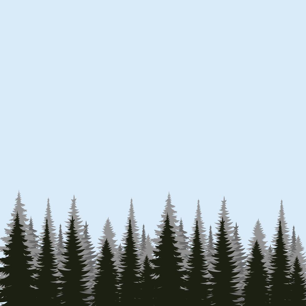 Forest tree panorama illustration, sunset mountain background. vector