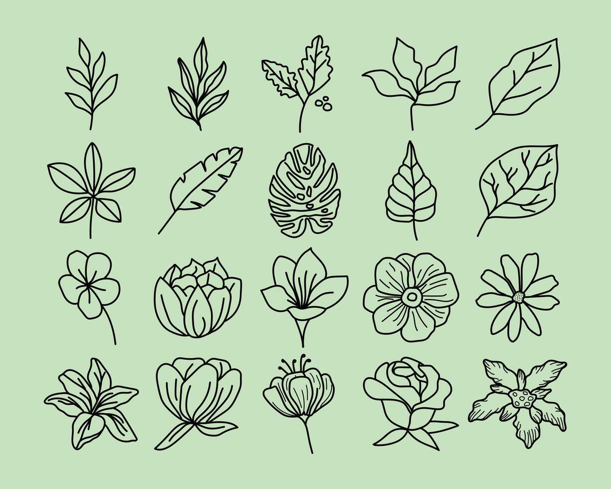 Set of floral line art vector template.