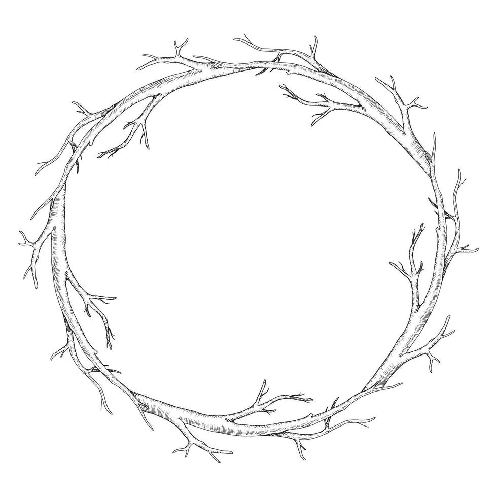 Branch tree wreath. Vector illustration of dry leaf less twig. Hand drawn graphic clipart on isolated background. Linear drawing of round frame border. Outline sketch of stick. Black contour line art