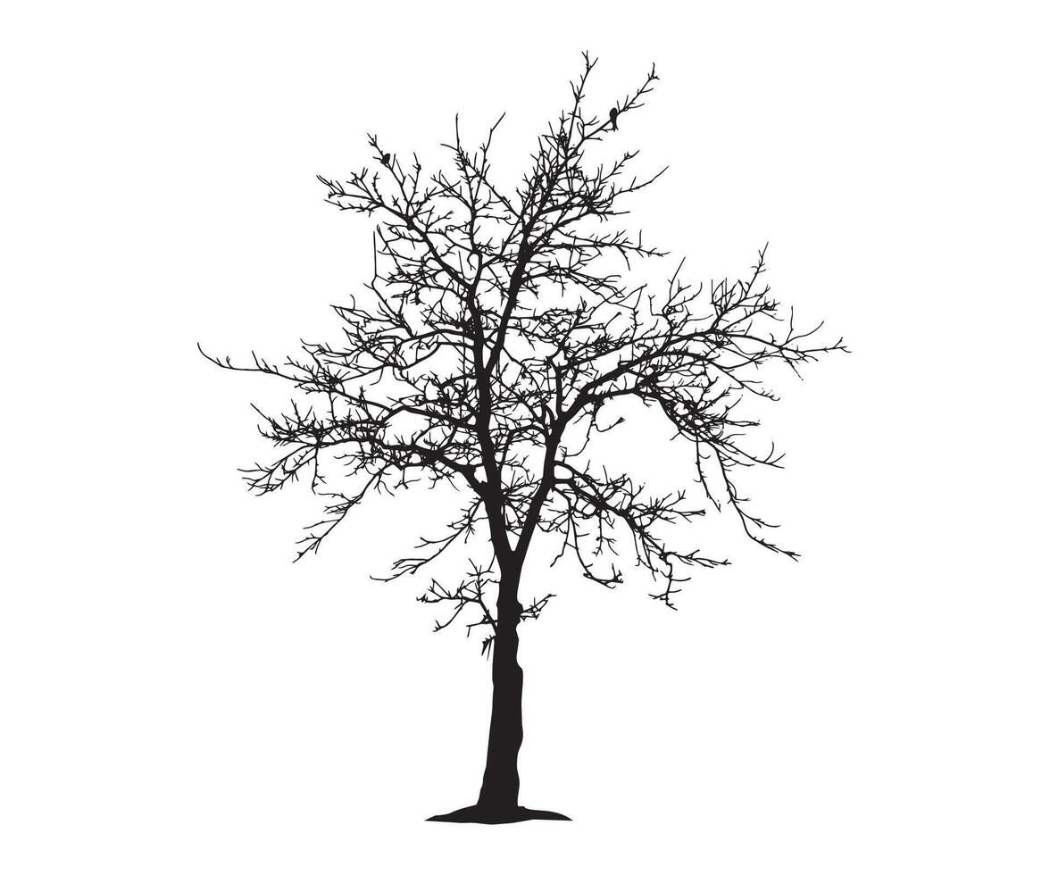 Tree Silhouette vector artwork Concepts Design Elements