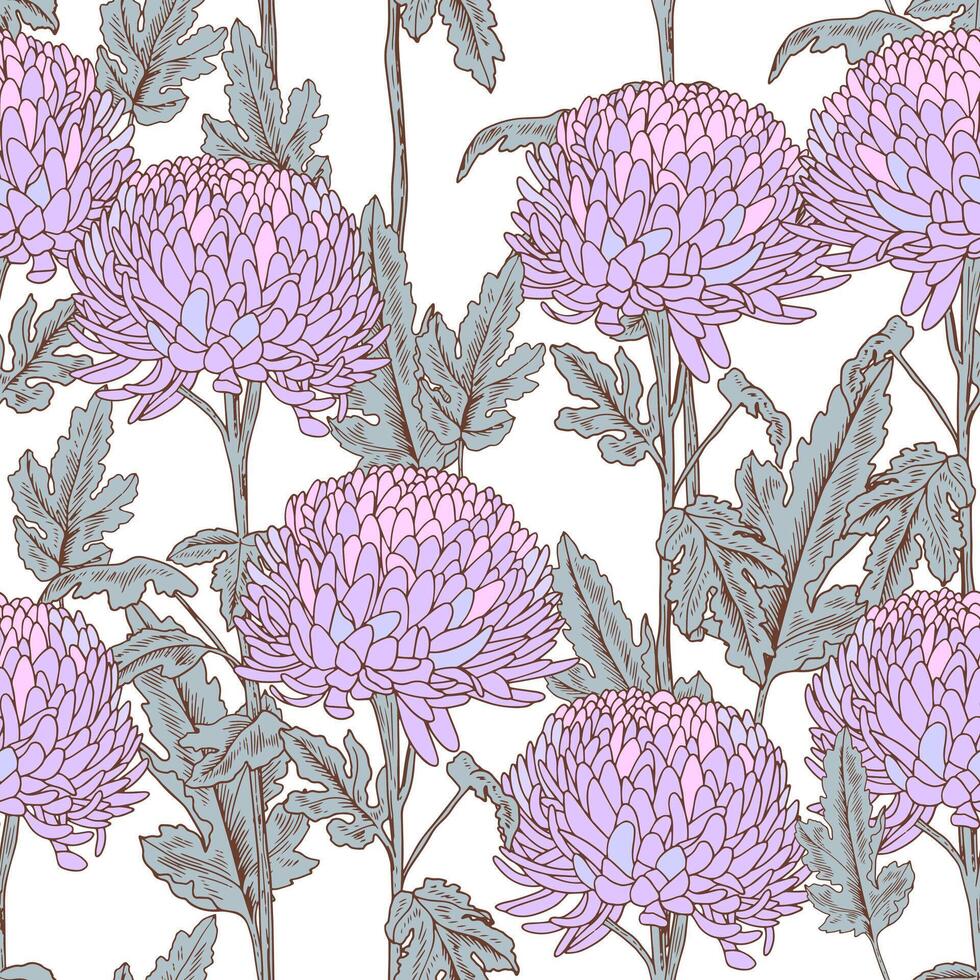 Vintage seamless pattern with purple chrysanthemum. Elegant floral texture. Botanical pattern with lilac flowers. Retro illustration with outline vector