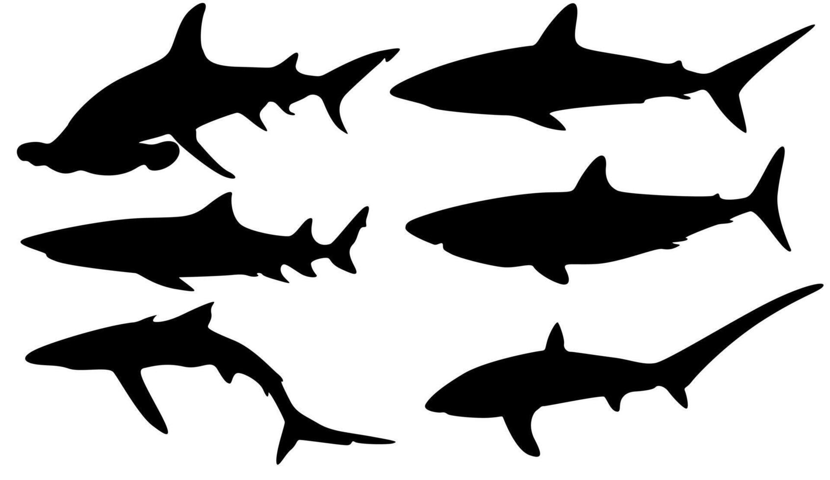 conjunto vector tiburones negro silueta icono ilustración