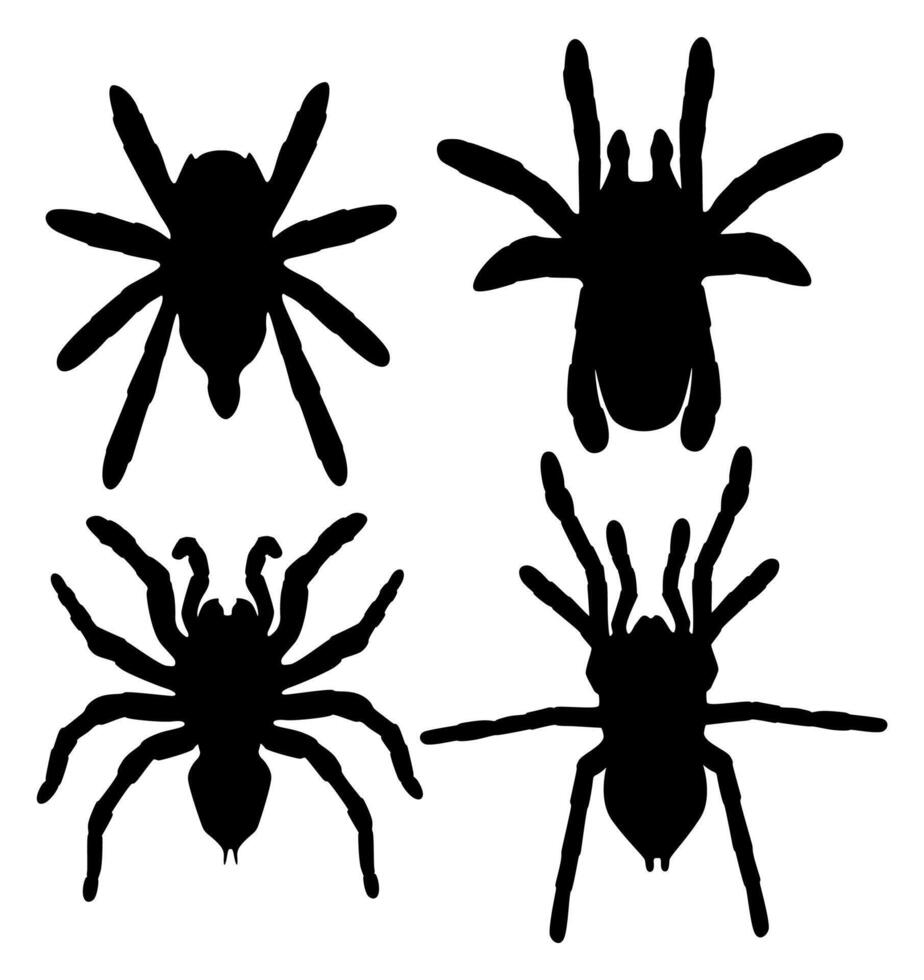 conjunto grande tarántula araña silueta icono vector ilustración