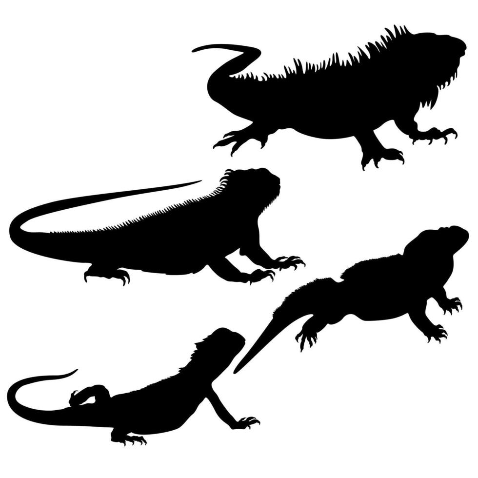 conjunto vector lagartos negro silueta reptil icono ilustración