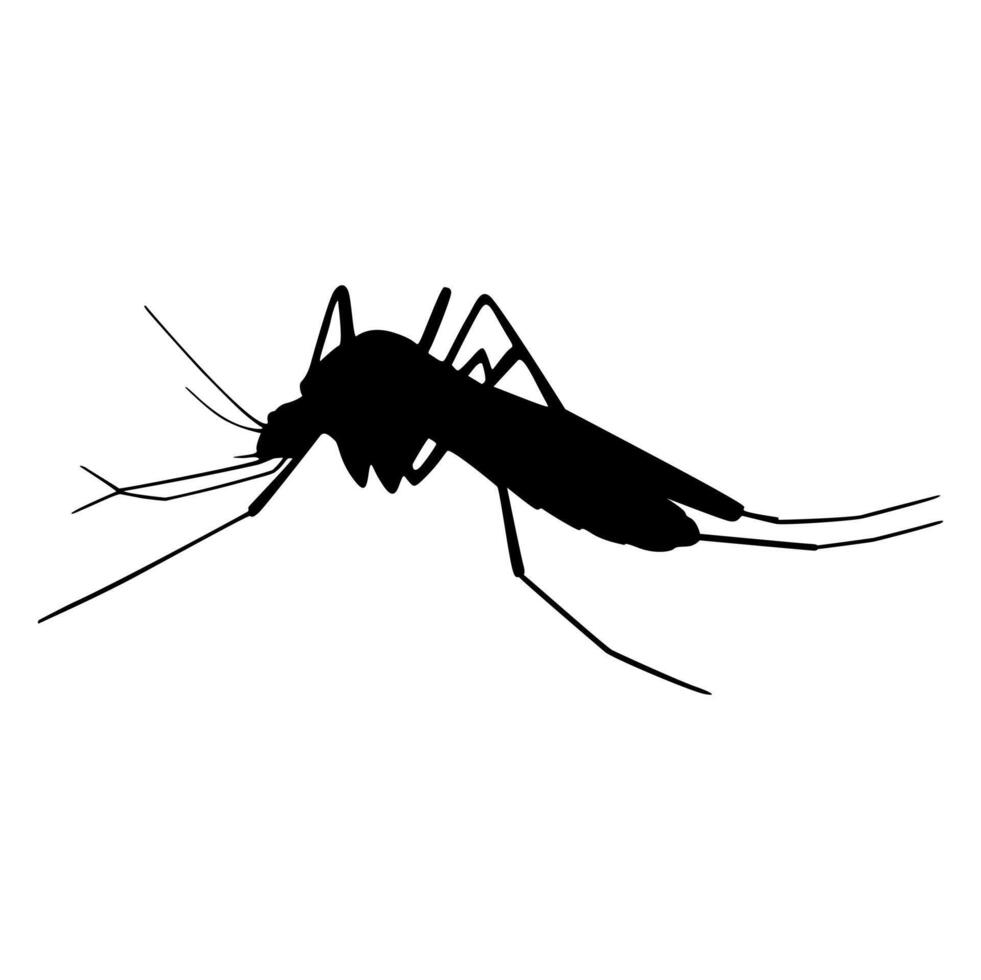 Vector black mosquito silhouette icon illustration