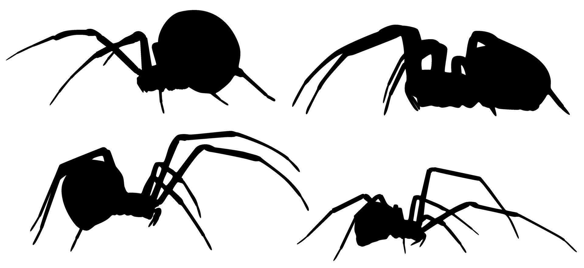 Set Vector black spider silhouette animal icon illustration