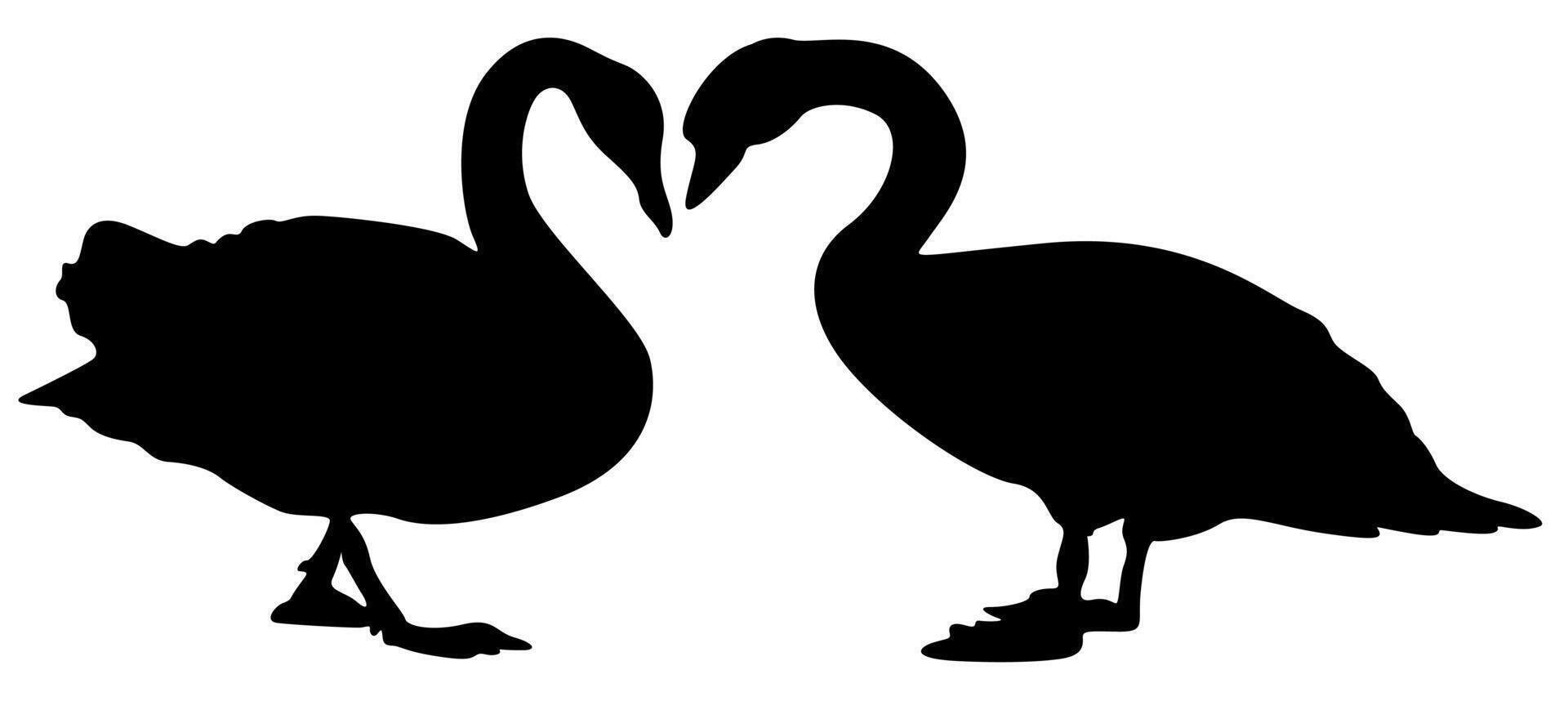 Set Vector couple swan black silhouette icon illustration