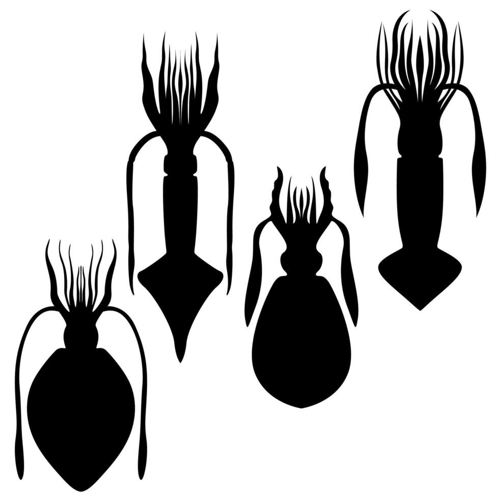 conjunto vector calamares negro silueta icono ilustración