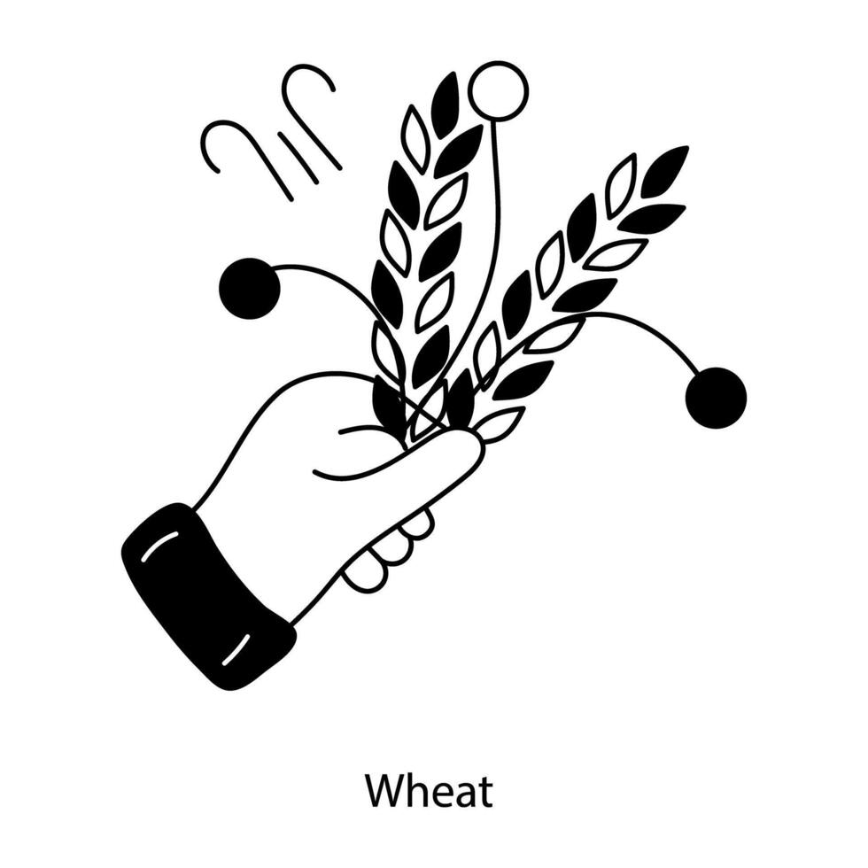 Trendy Wheat Concepts vector