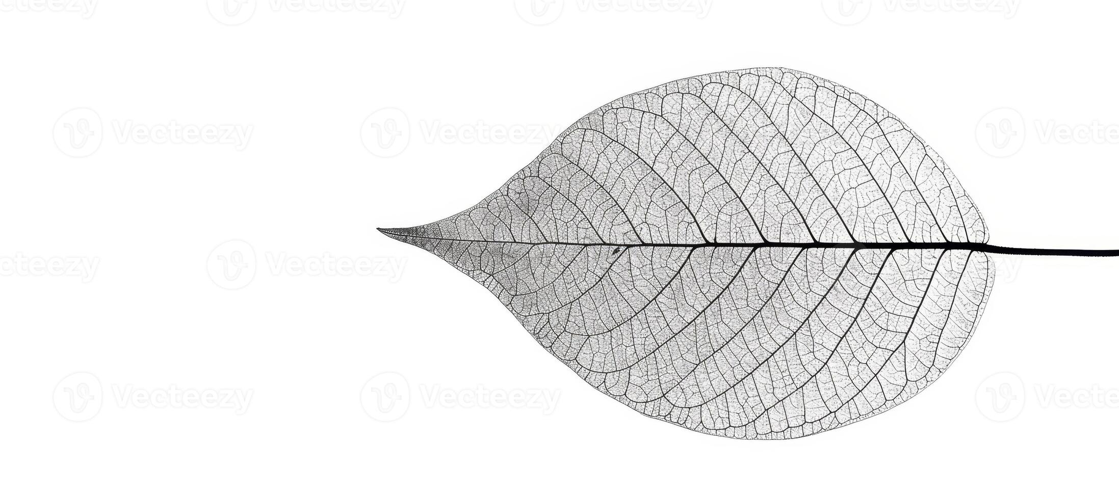 AI generated Intricate white leaf skeleton texture background for elegant designs and artistic decorations photo