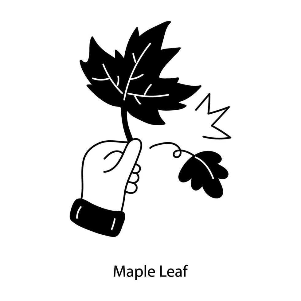 Trendy Maple Leaf vector