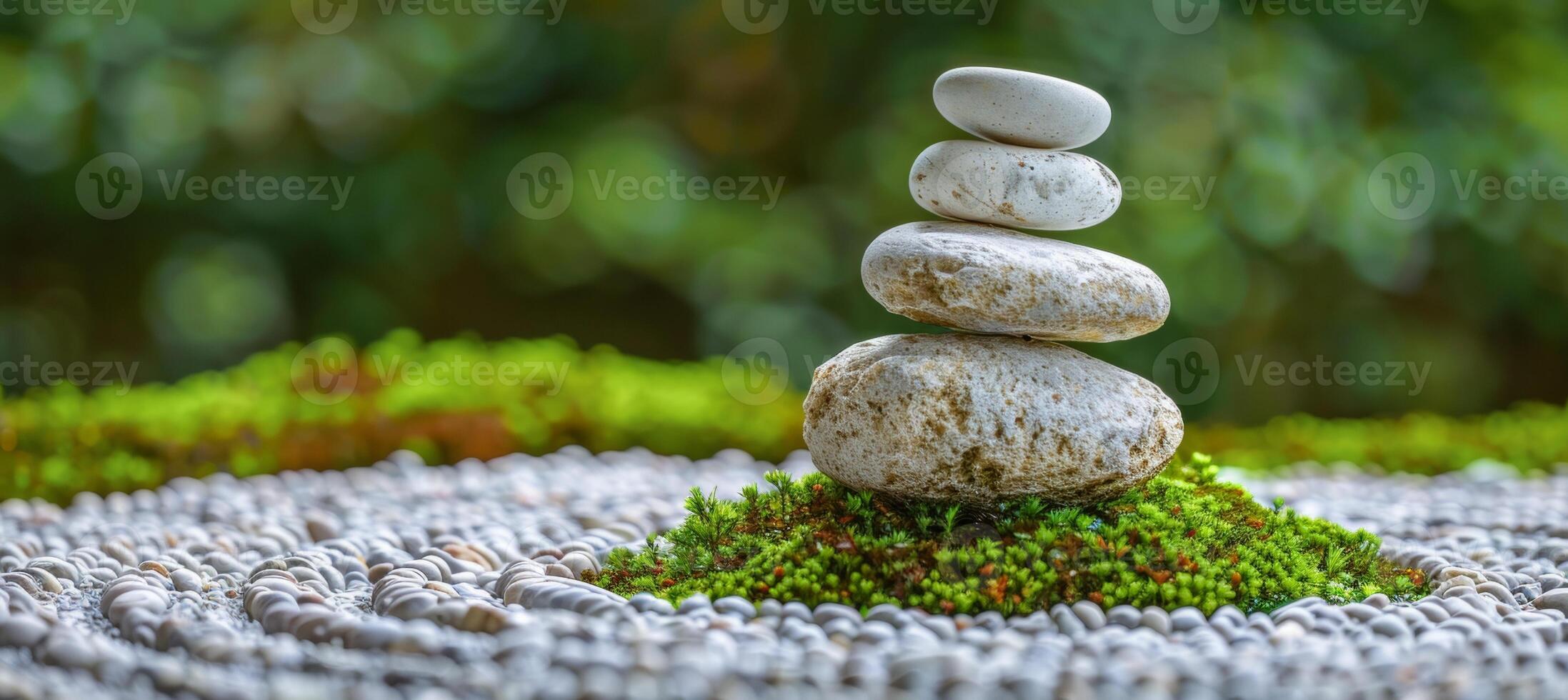 AI generated Tranquil zen garden composition with thuja branches and stones for serene ambiance and balance photo