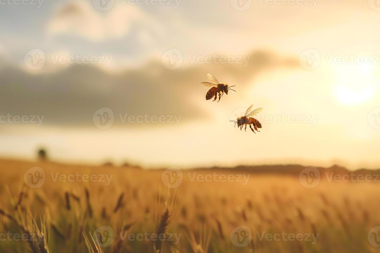 AI Generated two honeybees above field at sunny summer day photo