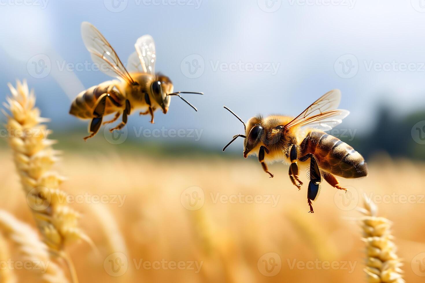 AI Generated two honeybees above field at sunny summer day photo