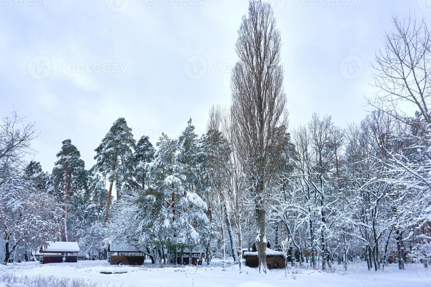 Camping course in a winter recreation park covered with snow photo