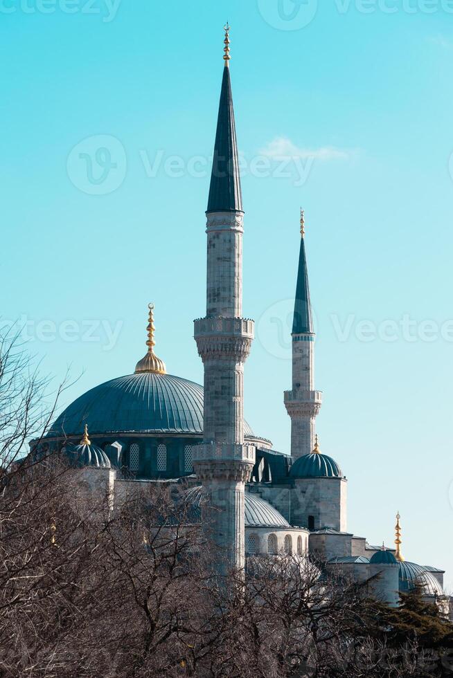 sultanahmet o azul mezquita vertical foto. Ramadán o islámico concepto foto