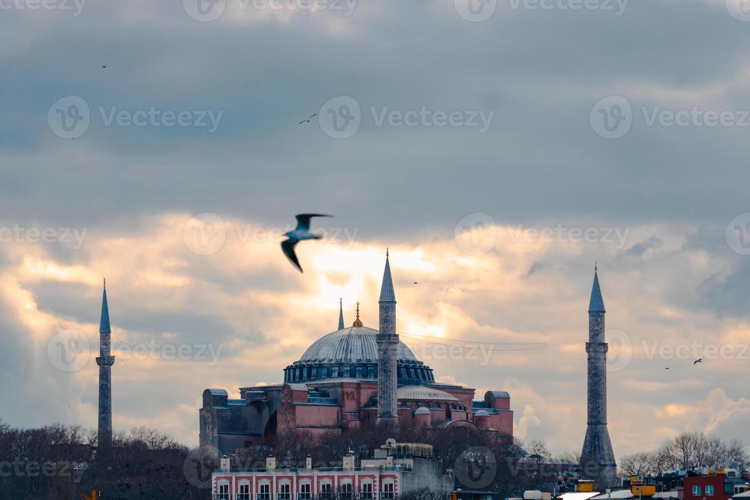 Hagia Sophia and a seagull. Ayasofya Mosque background photo. photo