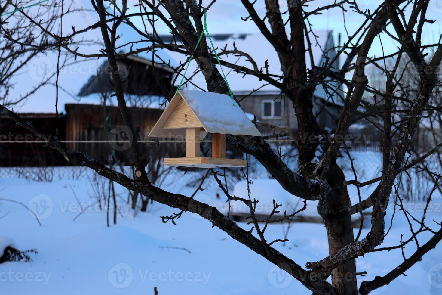 A wooden bird feeder hangs on an apple tree branch in a village garden in winter against the background of a house. Horizontal photo