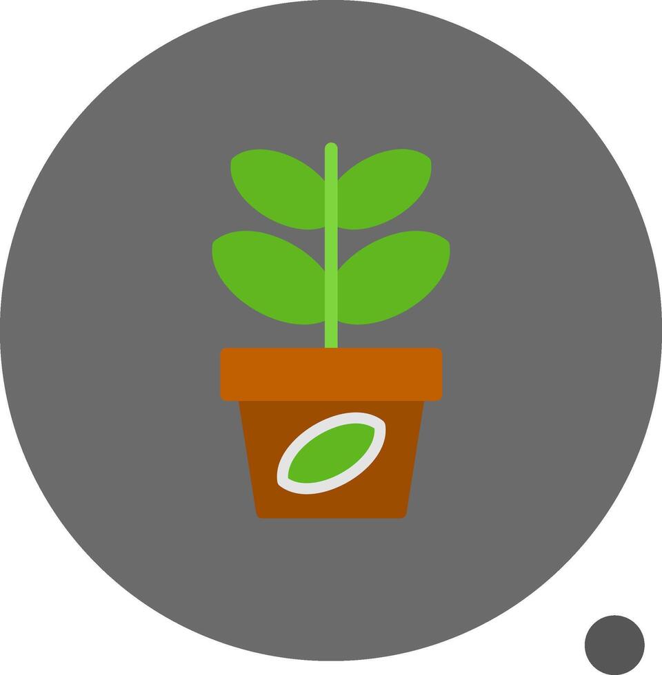 jade planta plano sombra icono vector