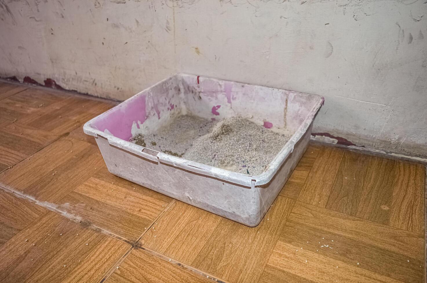 litter box for cats to defecate and urinate photo