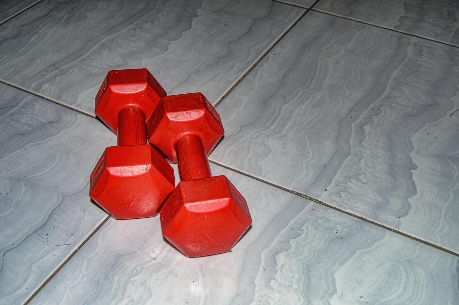 a pair of dumbbells weighing one kilogram on the floor photo