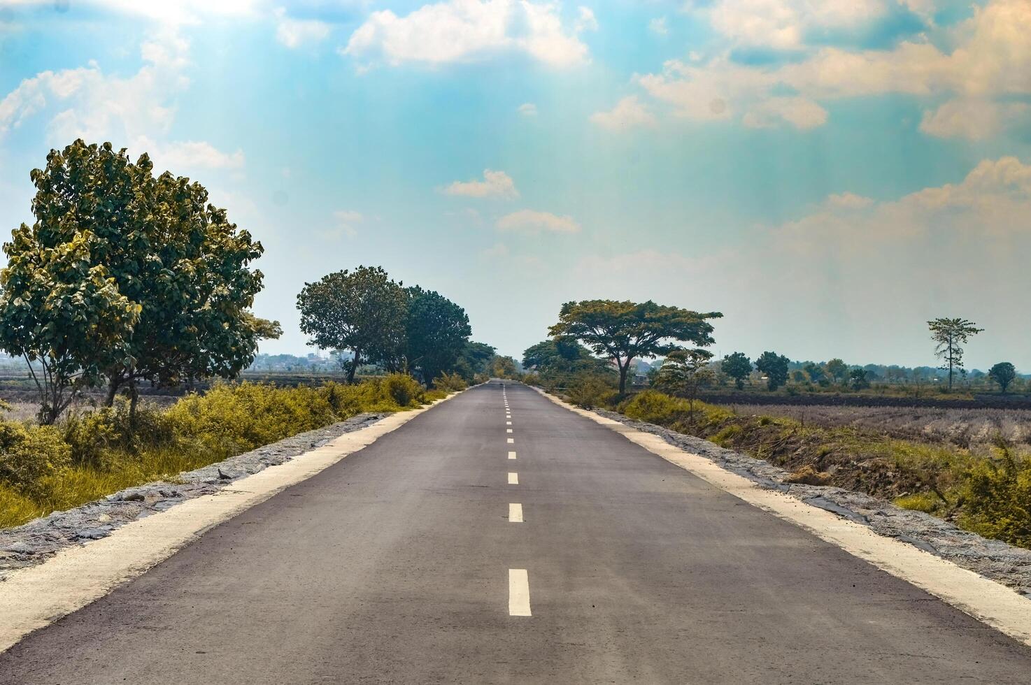 quiet asphalt highway with trees around photo