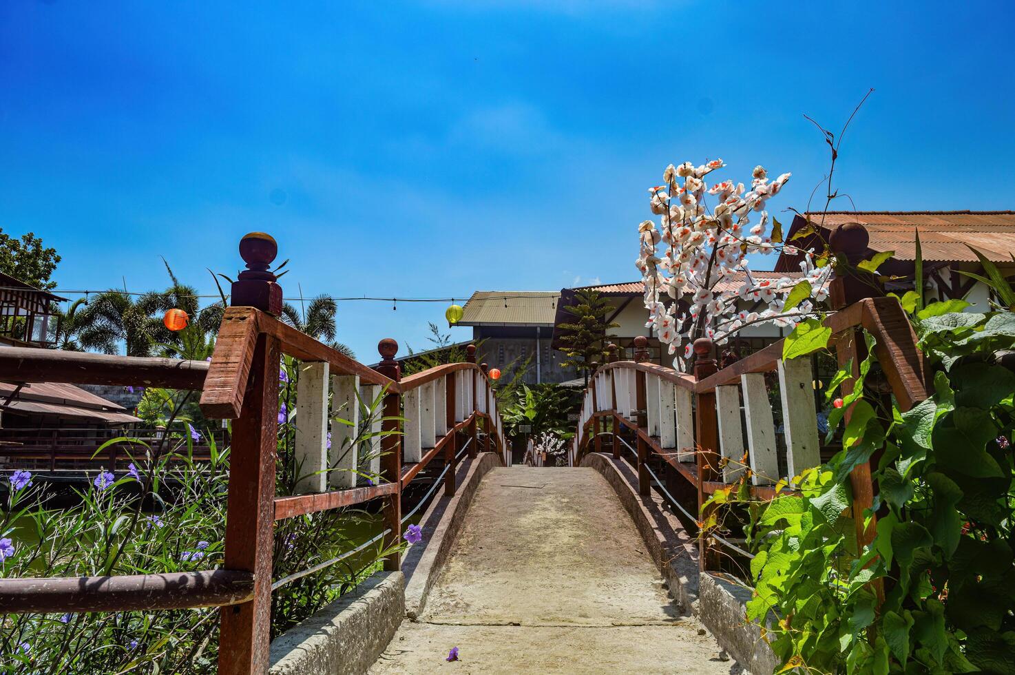 arch bridge in a japanese style garden during the day in indonesia photo