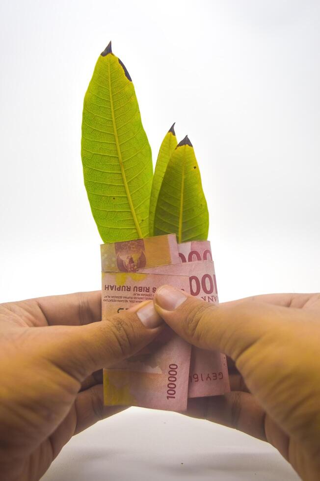 hand holding one hundred thousand rupiah note folded with three leaves isolated on white background photo