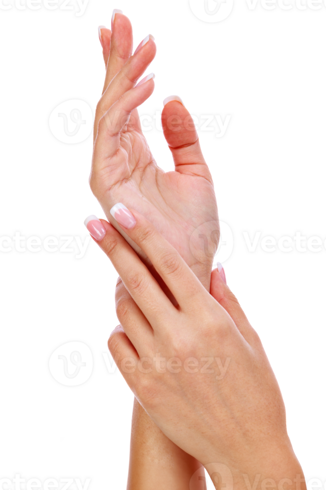 Closeup shot of woman's hands with french manicure and clean and soft skin, isolated png