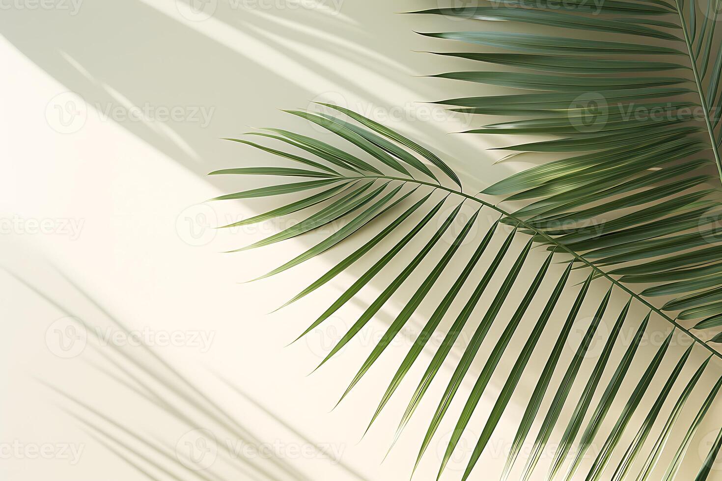 AI generated Palm leaves on white wall background. 3d render illustration. photo