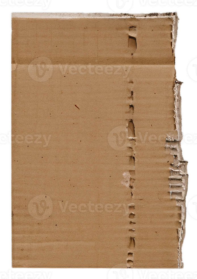 AI generated A piece of torn cardboard with rough edges, A torn piece of cardboard lying on a surface, showing jagged edges and rough texture, Transparent Background png