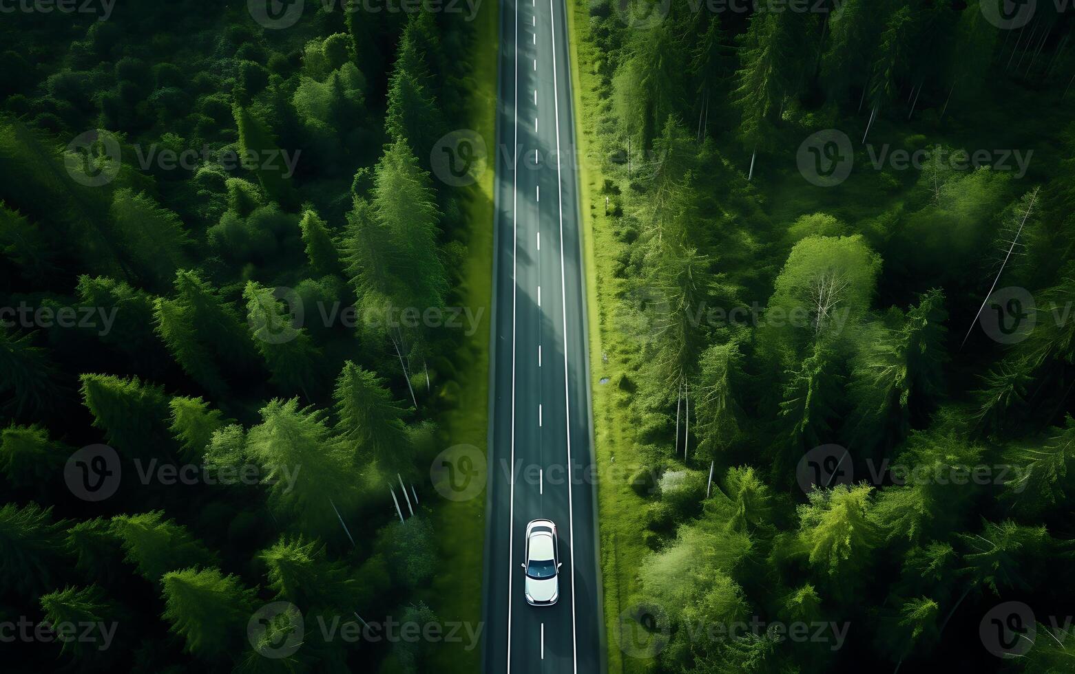 AI generated Highway in the green forest, view from the top of the mountain photo