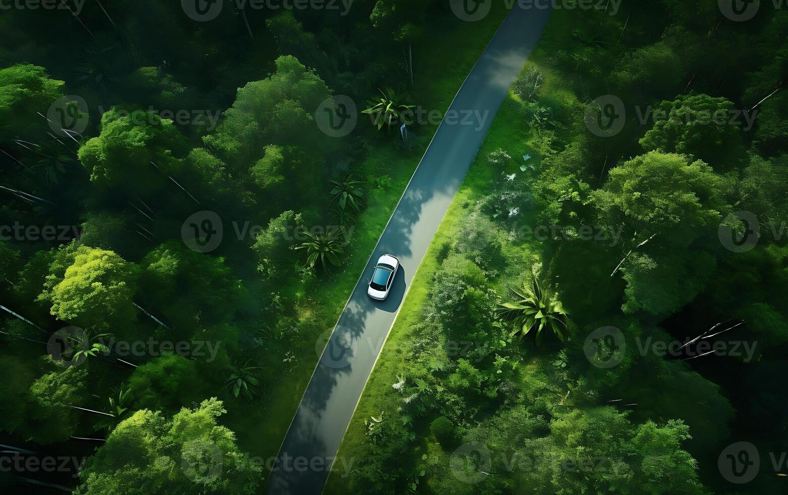 AI generated Aerial view of a road in the forest. 3d rendering photo