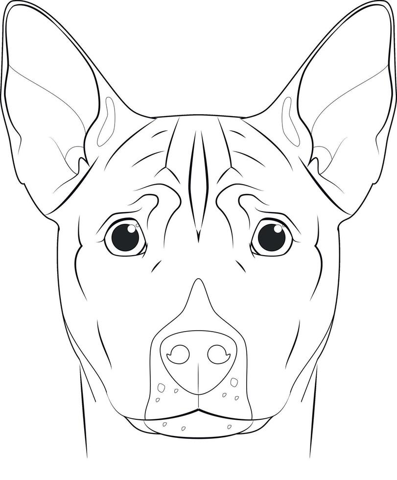 basenji perro fácil colorante dibujos animados vector ilustración. aislado en blanco antecedentes