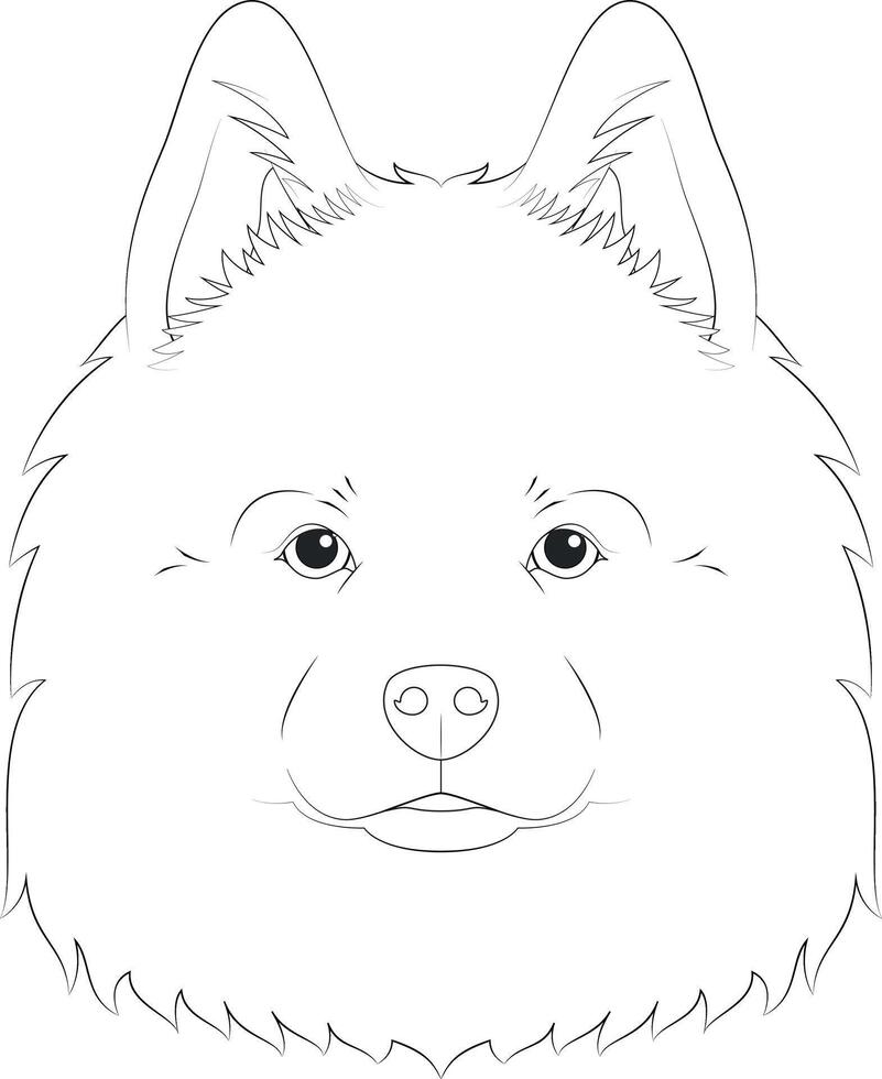 Samoyedo perro fácil colorante dibujos animados vector ilustración. aislado en blanco antecedentes