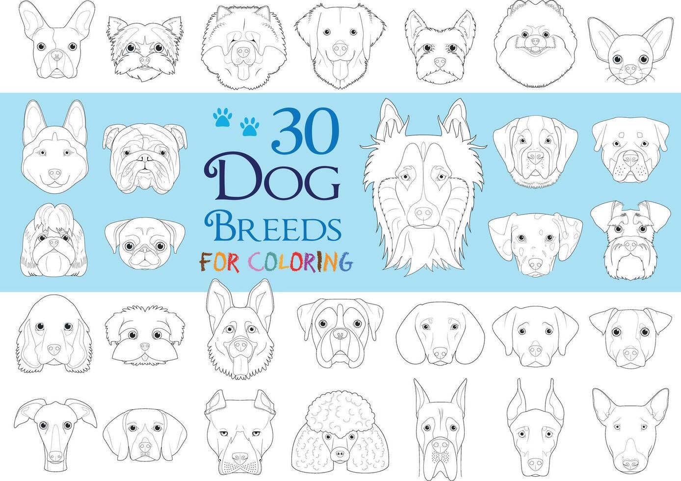 Dog Breeds Collection Volume 1. Set of 30 different dog breeds for coloring in cartoon style. vector