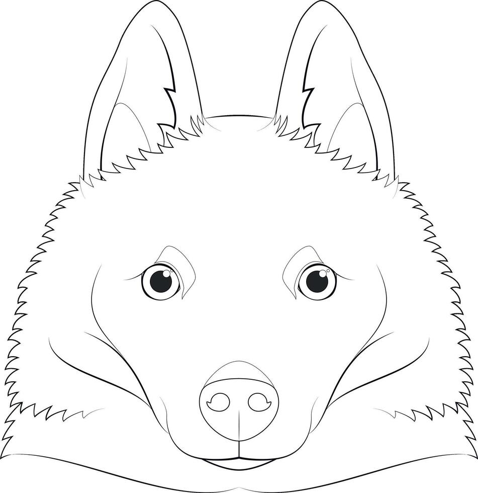 Schipperke dog easy coloring cartoon vector illustration. Isolated on white background